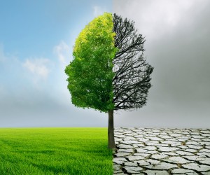 bipolar, depression, mania, manic depressive, mood disorder, perth counselling, perth psychologist, perth counsellor